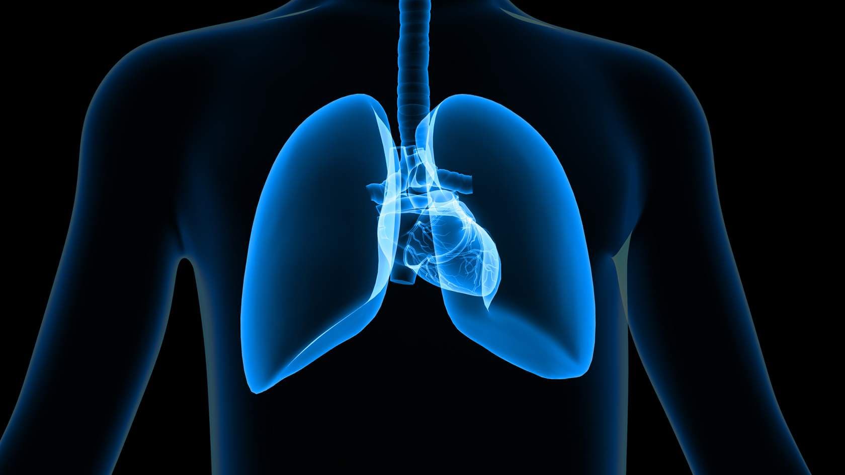 Cover of the Toxic Substances course, from the platform